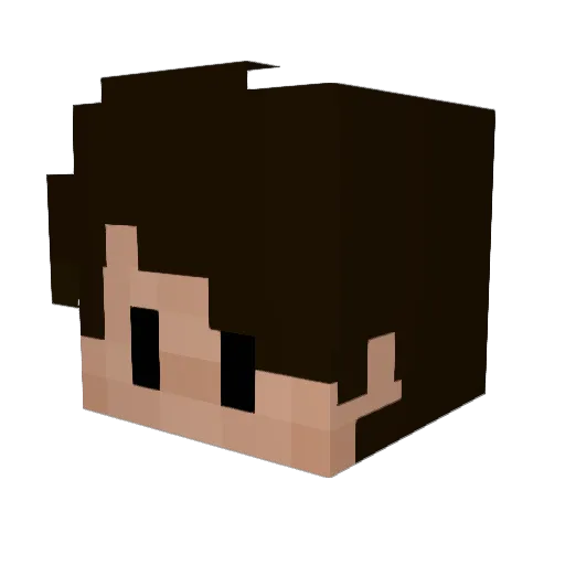 Limshojii Minecraft avatar head, 3D render