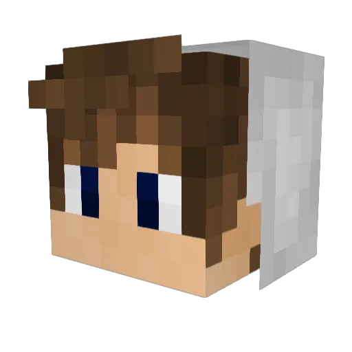 Lin4der Minecraft avatar head, 3D render