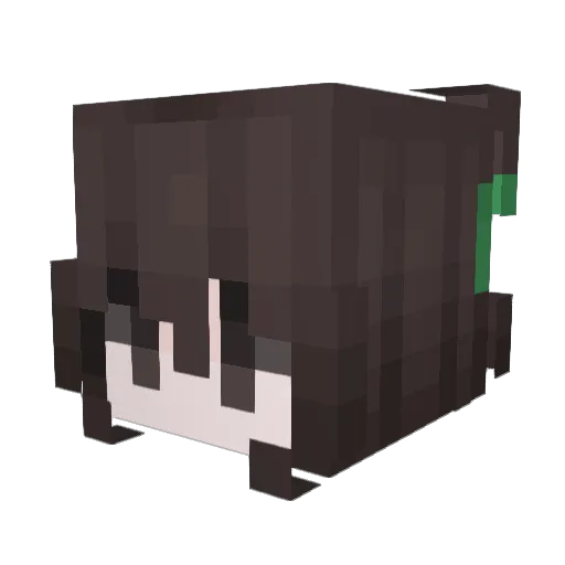 LinPulse40foUwU Minecraft avatar head, 3D render