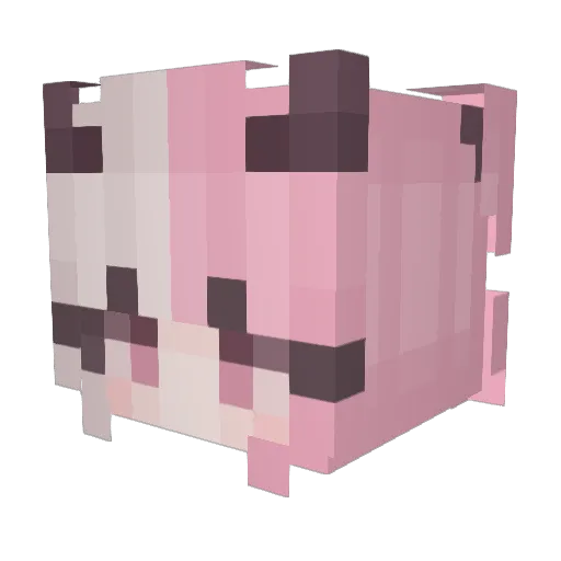LinXsTeD Minecraft avatar head, 3D render