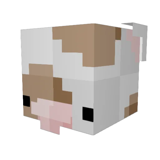 LinZorro Minecraft avatar head, 3D render