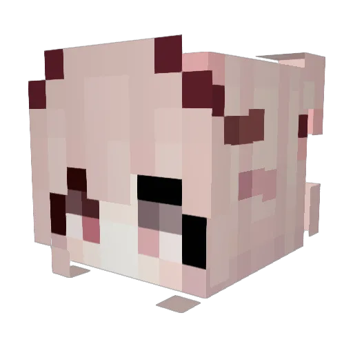 Lin_Chn Minecraft avatar head, 3D render