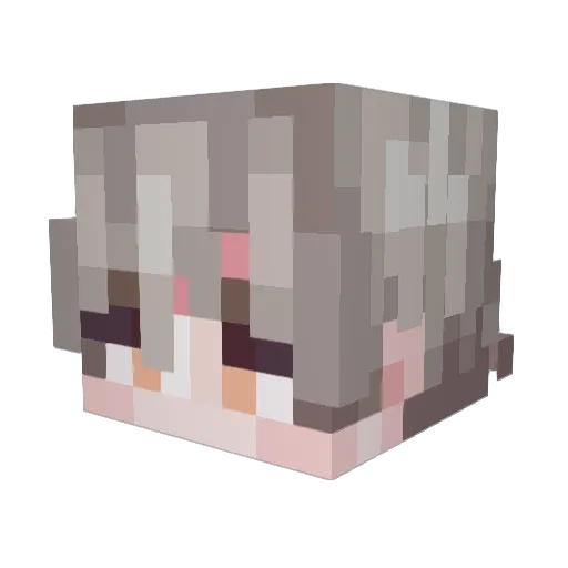 Lin_ovo33 Minecraft avatar head, 3D render