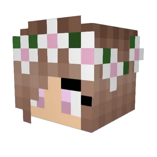 Lina2210 Minecraft avatar head, 3D render