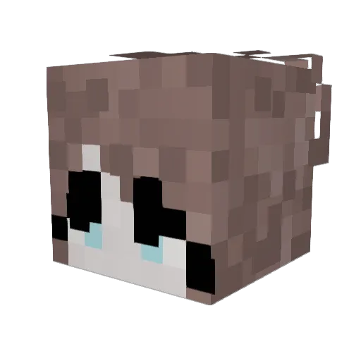 Lina2250 Minecraft avatar head, 3D render