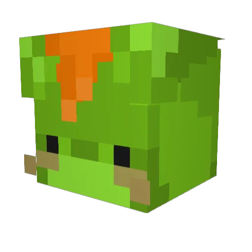 Lincoln0666 Minecraft avatar head, 3D render