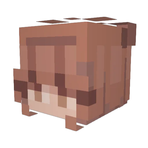 Lindsayhammy Minecraft avatar head, 3D render