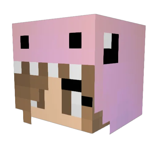 LindseyN6 Minecraft avatar head, 3D render