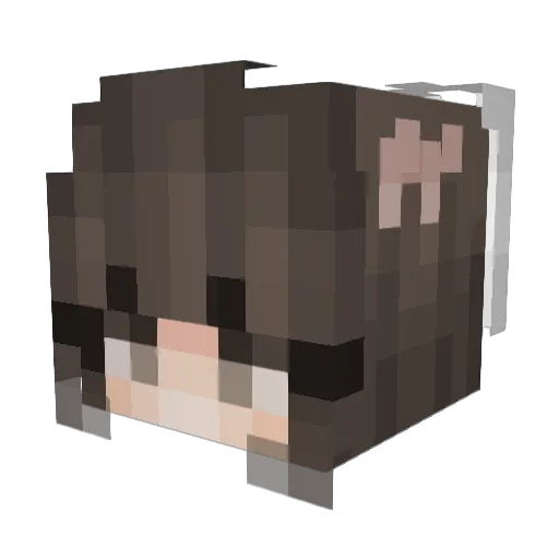 Lindtz Minecraft avatar head, 3D render
