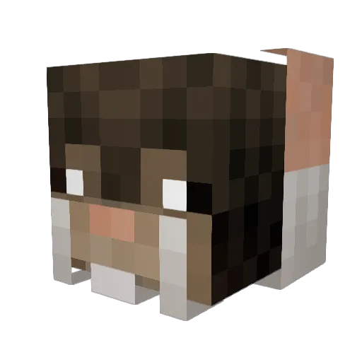 Line3 Minecraft avatar head, 3D render