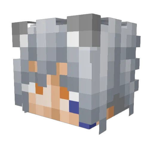 LinearErmine419 Minecraft avatar head, 3D render