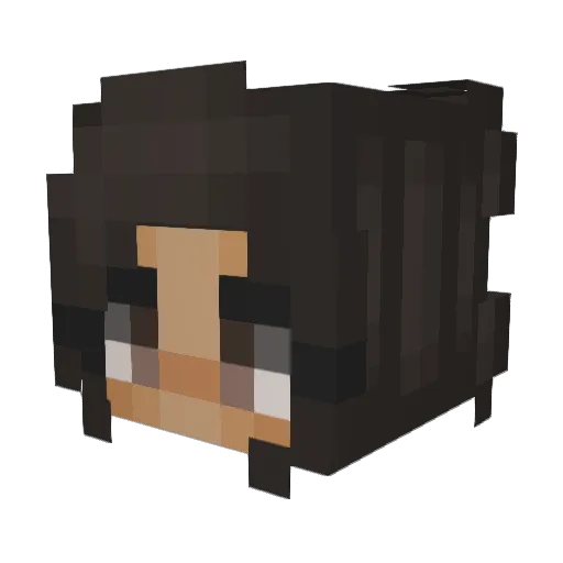 Ling555 Minecraft avatar head, 3D render