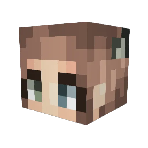 LingeringCold Minecraft avatar head, 3D render