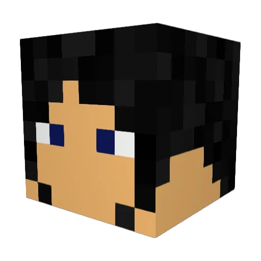 LinguicaQueimada Minecraft avatar head, 3D render