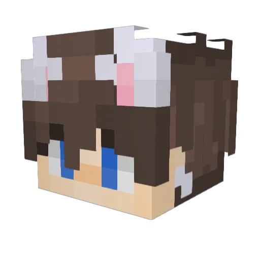 LinhJadetdjUwU Minecraft avatar head, 3D render