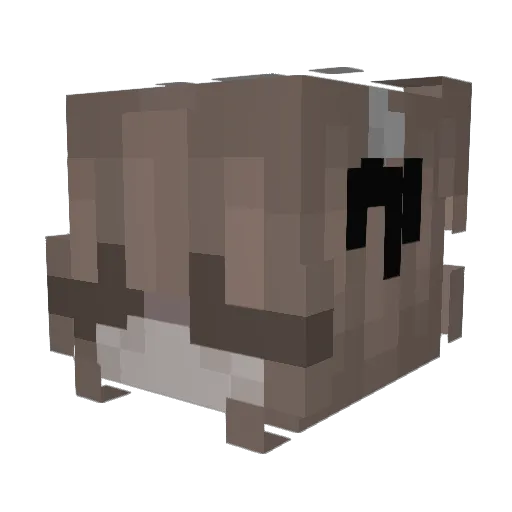 Lini171 Minecraft avatar head, 3D render