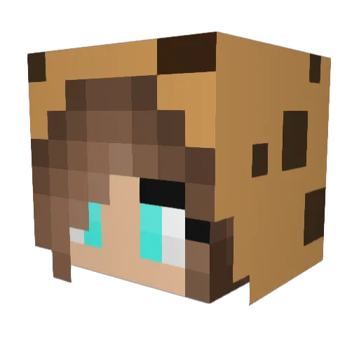 LiniBiniPSR200 Minecraft avatar head, 3D render