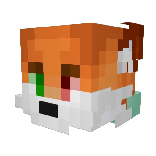 LinieAmeise755 Minecraft avatar head, 3D render