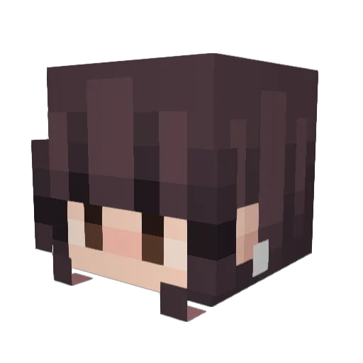 Linii Minecraft avatar head, 3D render