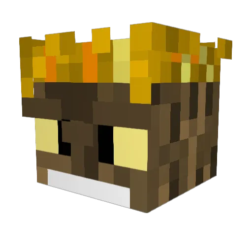 Linithek87 Minecraft avatar head, 3D render