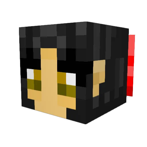 Link4991 Minecraft avatar head, 3D render