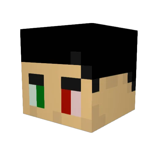 LinkALyne Minecraft avatar head, 3D render