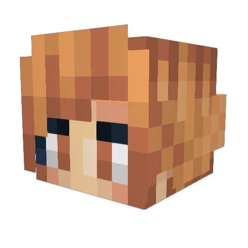 LinkDude98 Minecraft avatar head, 3D render