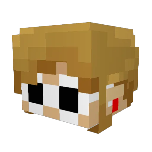LinkPizzaRobber1 Minecraft avatar head, 3D render