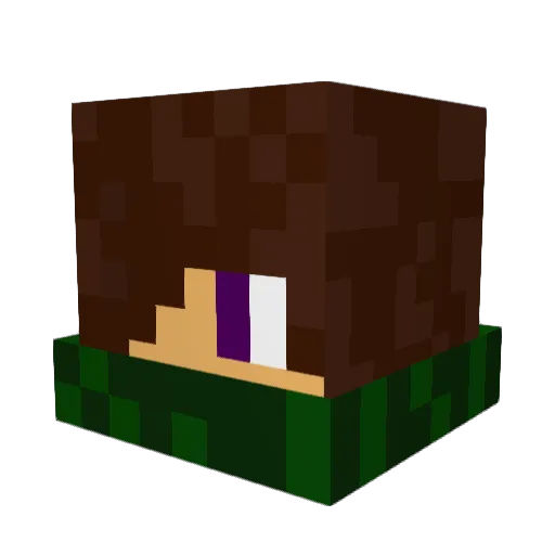 Link_2006 Minecraft avatar head, 3D render