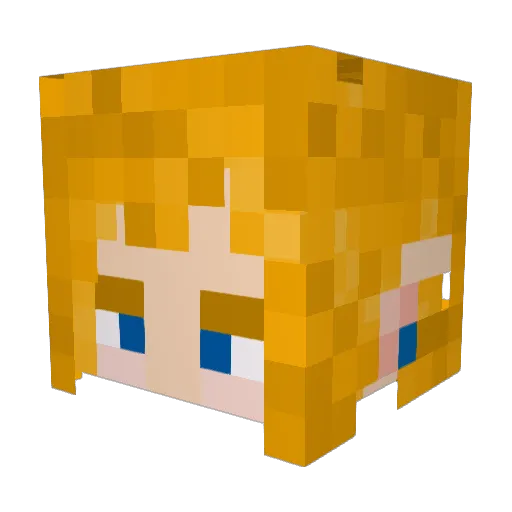Link_55 Minecraft avatar head, 3D render