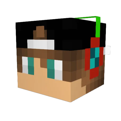 Link_Fearless Minecraft avatar head, 3D render