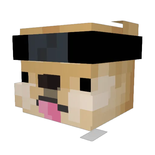 LinkaDoo42 Minecraft avatar head, 3D render