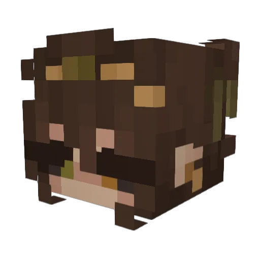 Linkarx Minecraft avatar head, 3D render