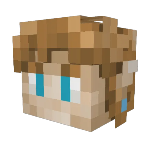 Linkmaster1987x Minecraft avatar head, 3D render