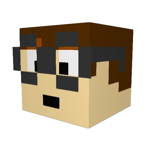 Linkname5 Minecraft avatar head, 3D render