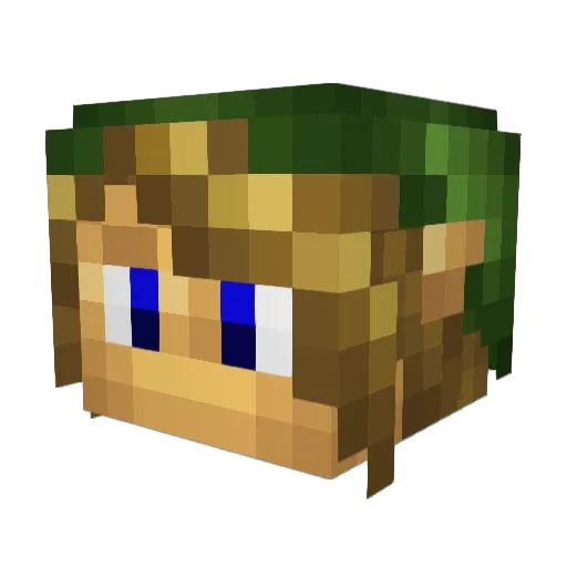 LinkofHyrule89 Minecraft avatar head, 3D render