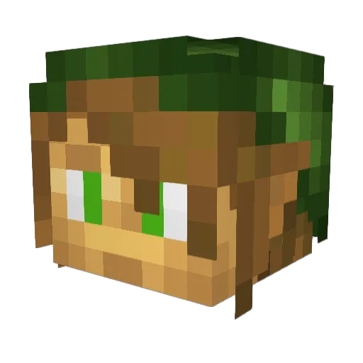 Linkorin Minecraft avatar head, 3D render