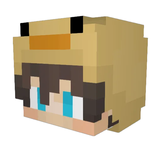 Linkowna Minecraft avatar head, 3D render