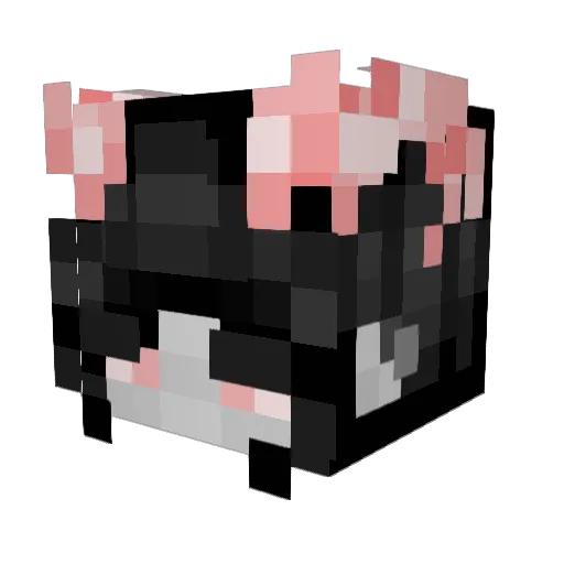 Linksylicious Minecraft avatar head, 3D render