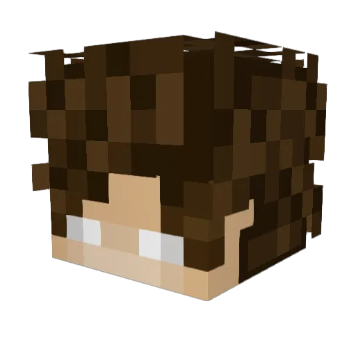 LinkyC2 Minecraft avatar head, 3D render