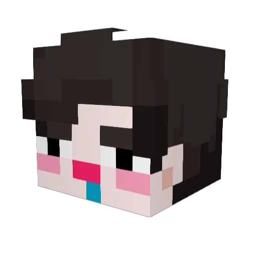 Linlong0623 Minecraft avatar head, 3D render
