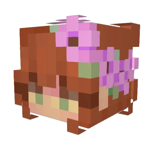 Linmiri Minecraft avatar head, 3D render