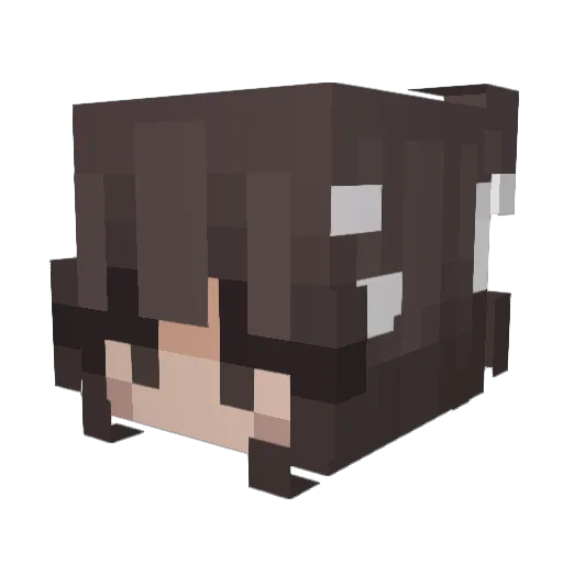 Linmouse Minecraft avatar head, 3D render