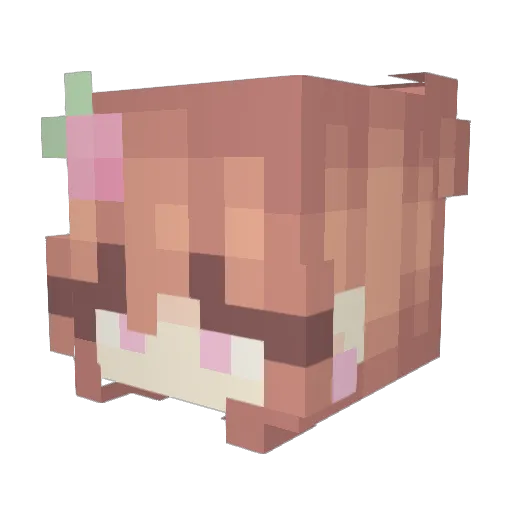 LinneaCookie Minecraft avatar head, 3D render