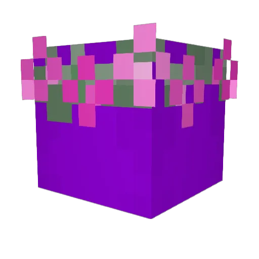 LinnyTheSeagull Minecraft avatar head, 3D render