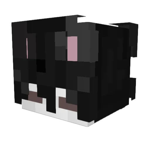 Linokuni Minecraft avatar head, 3D render