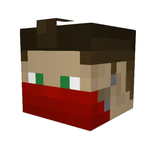 Linse_lp_32 Minecraft avatar head, 3D render