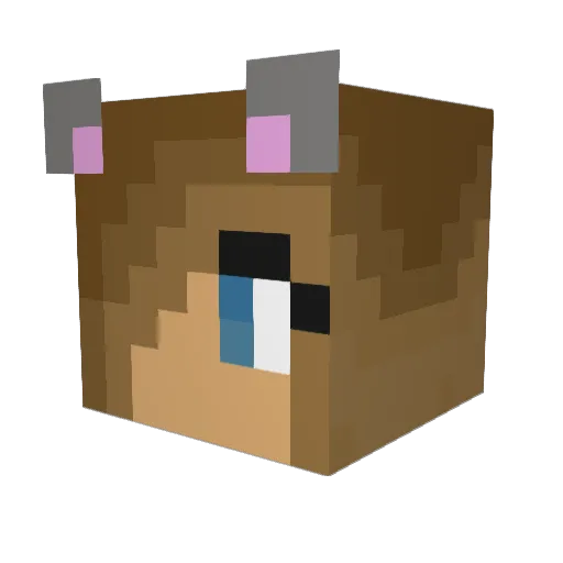Linsipaj Minecraft avatar head, 3D render