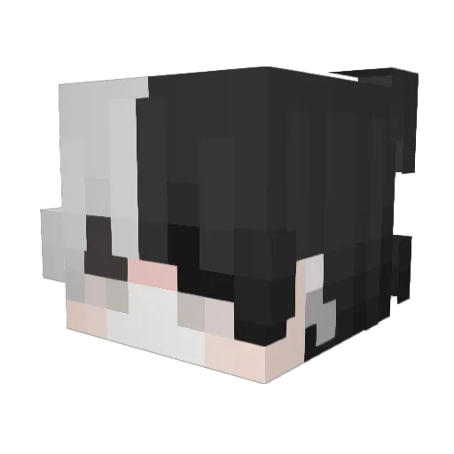 Linskoyyy Minecraft avatar head, 3D render