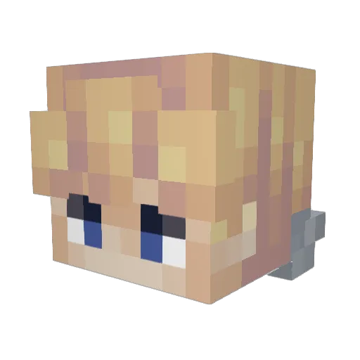 Linsor_Fly Minecraft avatar head, 3D render